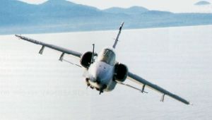 AMX Real