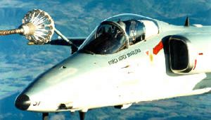 AMX Real