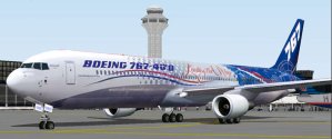 Boeing 767 World Tour