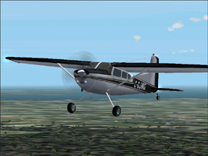 Relato - Cessna 185