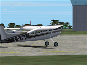 Relato - Cessna 185